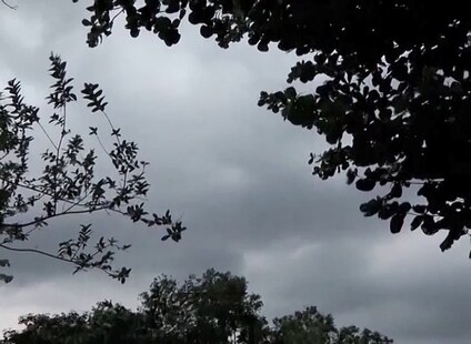 ଆସନ୍ତା ତିନି ଦିନ ପର୍ଯ୍ୟନ୍ତ ଏମିତି କୋହଲା ପାଗ ରହିବ; ସାମାନ୍ୟରୁ ମଧ୍ୟମ ବର୍ଷା ହେବ