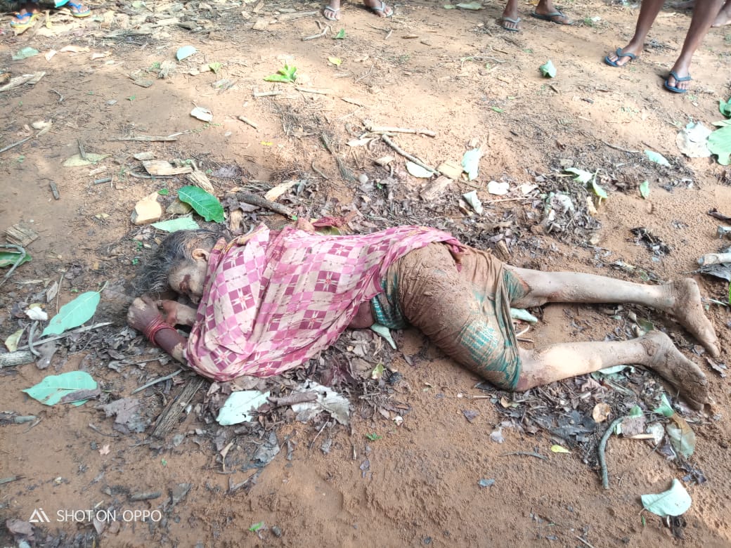  ଜଙ୍ଗଲୀ ହାତୀ ଦଳିଦେବା ପରେ ମରି ପଡ଼ିଛନ୍ତି ମହିଳା ।