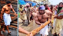 ପୁଣି ଚର୍ଚ୍ଚାରେ ‘ବାହୁବଳୀ ସେବାୟତ’: ଟାଣିଲେ ରଥ; ଲକ୍ଷ ବିଶ୍ୱ ଚାମ୍ପିଅନସିପରେ ଗୋଲ୍ଡ