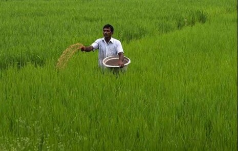 ‘କାଳିଆ’ ପରେ ଆସିଲା ‘ବଳରାମ’: ଭୂମିହୀନ ଚାଷୀଙ୍କ ପାଇଁ ରାଜ୍ୟ ସରକାର ଆଣିଲେ ନୂଆ ଯୋଜନା