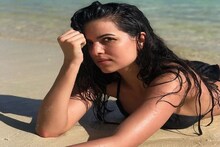 ହାର୍ଦ୍ଦିକ ପାଣ୍ଡ୍ୟାଙ୍କ ପ୍ରେମିକା ନତାଶା ଗର୍ଭବତୀ ହେଲେ, ଫଟୋ ସେୟାର କରି ଏହା ଲେଖିଲେ