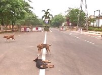 ଆଜି ରାତିରୁ ଜୁଲାଇ ୩୧ ଯାଏଁ ରାଜ୍ୟର ୪ ଜିଲ୍ଲା ଓ ରାଉରକେଲାରେ ଲକଡାଉନ ଜାରି ହେଲା