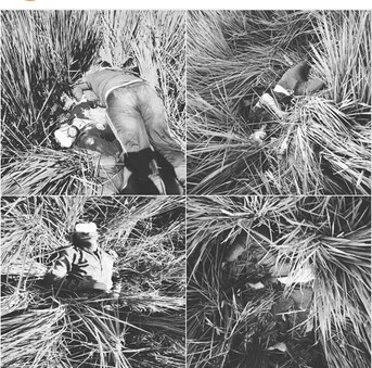 BSF ଗୁଳିରେ ଟଳି ପଡ଼ିଥିବା ୫ଜଣ ପାକିସ୍ତାନ ଅନୁପ୍ରବେଶକାରୀ