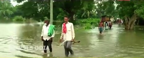 ଖୋର୍ଦ୍ଧାରେ ବନ୍ୟା: ରୋଷେଇ ଘରେ ଆଣ୍ଠୁଏ ପାଣି, ଗୋରୁ ଗୁହାଳ ବି ବୁଡ଼ିଲା