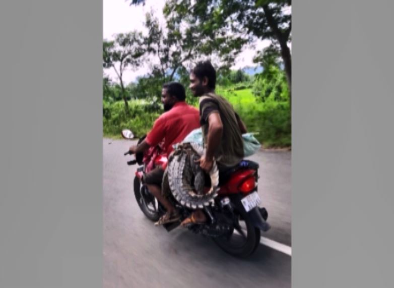  ଏହି ଘଟଣା ବନ ବିଭାଗ କର୍ମଚାରୀଙ୍କ କର୍ତ୍ତବ୍ୟ ନିଷ୍ଠା ଉପରେ ପ୍ରଶ୍ନ ଚିହ୍ନ ସୃଷ୍ଟି କରିଛି । ଘଟଣାର ଦୃଶ୍ୟ ସେସିଆଲ ମିଡ଼ିଆରେ ଭାଇରାଲ ହୋଇଛି (Digapahandi crocodile video) ଓ ଚର୍ଚ୍ଚାର ବିଷୟ ପାଲଟିଛି ।