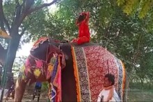 ବାବା ରାମଦେବ ହାତୀ ଉପରେ ବସି ଯୋଗ କରୁଥିଲେ, ତଳେ ପଡ଼ିଗଲେ; ଦେଖନ୍ତୁ VIDEO