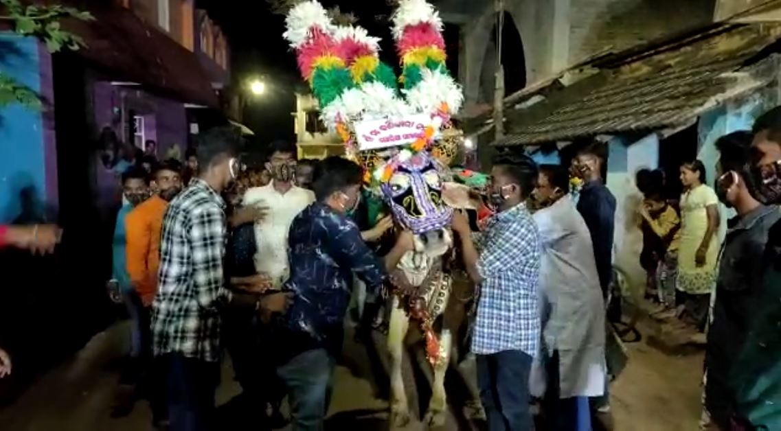 ଶହ ଶହ ବର୍ଷ ଧରି ଢେଙ୍କାନାଳ ଜିଲ୍ଲାର ଭୁବନରେ ପ୍ରତି ବର୍ଷ ବିଜୟା ଦଶମୀ ଓ ଏକାଦଶୀ ତିଥିରେ ଅନୁଷ୍ଠିତ ହୁଏ ଏହି ପାରମ୍ପରିକ ବିଶ୍ୱପ୍ରସିଦ୍ଧ ବଳଦ ଯାତ୍ରା । ପ୍ରାୟ ୫୦ଟି ବଳଦକୁ ସୁସଜ୍ଜିତ କରି ପାରମ୍ପରିକ ଓ ଆଧୁନିକ ବାଦ୍ୟ ସହ ରୋଷଣିରେ ଏହି ଶୋଭାଯାତ୍ରା କରାଯାଇଥାଏ । ଶହ ଶହ ବର୍ଷ ଧରି ଢେଙ୍କାନାଳ ଜିଲ୍ଲାର ଭୁବନରେ ପ୍ରତି ବର୍ଷ ବିଜୟା ଦଶମୀ ଓ ଏକାଦଶୀ ତିଥିରେ ଅନୁଷ୍ଠିତ ହୁଏ ଏହି ପାରମ୍ପରିକ ବିଶ୍ୱପ୍ରସିଦ୍ଧ ବଳଦ ଯାତ୍ରା । ପ୍ରାୟ ୫୦ଟି ବଳଦକୁ ସୁସଜ୍ଜିତ କରି ପାରମ୍ପରିକ ଓ ଆଧୁନିକ ବାଦ୍ୟ ସହ ରୋଷଣିରେ ଏହି ଶୋଭାଯାତ୍ରା କରାଯାଇଥାଏ ।