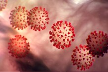 କରୋନା ଭୂତାଣୁ ଯୋଗୁଁ ସମାପ୍ତ ହେଉଛି ଏହି ରୋଗ ? ପ୍ରତିବର୍ଷ ମରିଥାନ୍ତି ଲକ୍ଷ ଲକ୍ଷ ଲୋକ