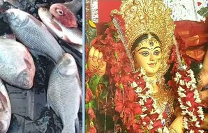 news18 - କଟକ ଦଶହରାରେ ମାଛ ଭୋଗ ଲାଗିଲା, ମାତ୍ର କରୋନା କଟକଣା ଯୋଗୁଁ ଏ ଥର ବଣ୍ଟାଗଲା ନାହିଁ