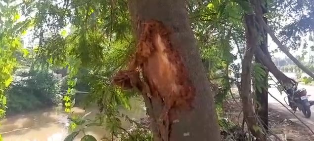କାରର ବେଗ ଏତେ ଅଧିକ ଥିଲା ଯେ କେନାଲ୍ କୂଳରେ ଥିବା କେତୋଟି ବଡ଼ ଗଛ ସହ ବାଡ଼େଇବା ପରେ କାରଟି କେନାଲ୍ ପାଣି ଭିତରକୁ ପଶିଯାଇଥିଲା । କାରର ବେଗ ଏତେ ଅଧିକ ଥିଲା ଯେ କେନାଲ୍ କୂଳରେ ଥିବା କେତୋଟି ବଡ଼ ଗଛ ସହ ବାଡ଼େଇବା ପରେ କାରଟି କେନାଲ୍ ପାଣି ଭିତରକୁ ପଶିଯାଇଥିଲା ।