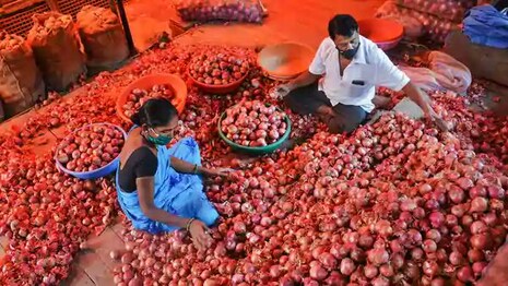 ୧୦୦ ଟଙ୍କା ଛୁଇଁବ କି ପିଆଜ ଦର? ୨ ମାସ ଲାଗିବ ଦର କମିବାକୁ; ସରକାରୀ ହସ୍ତକ୍ଷେପ ଦାବି ବଢ଼ିଲା