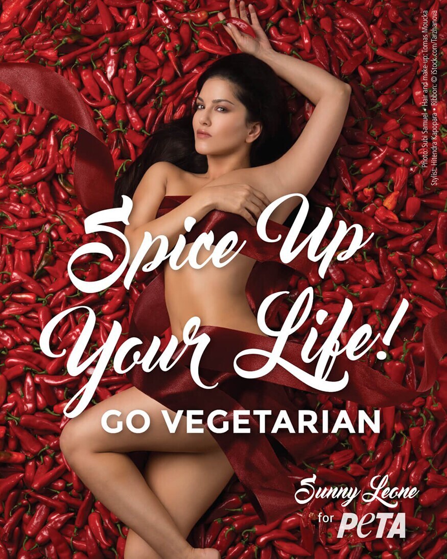  ଏହା ପୂର୍ବରୁ ସନ୍ନି ଲିଓନ (Sunny Leone) ଏହି ଶୈଳୀରେ ପେଟା ପାଇଁ କିଛି ଫଟୋସୁଟ୍ କରିଥିଲେ । (ଫଟୋ: ପେଟା ଇଣ୍ଡିଆ)