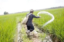 ୧୪ କୋଟି ଚାଷୀଙ୍କ ପାଇଁ ସରକାରଙ୍କ ବଡ଼ ଘୋଷଣା; ଦୀପାବଳୀ ପୂର୍ବରୁ ଦେଲେ ଏହି ଉପହାର