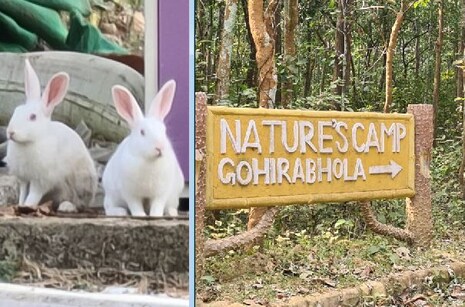 ବାଲେଶ୍ୱର: ପ୍ରକୃତିର ଶୋଭା ଓ ବୋଟିଂ ମଜା ପାଇଁ କୁଲଡିହା ଅଭୟାରଣ୍ୟରେ ବୁକିଂ ବଢ଼ିଚାଲିଛି