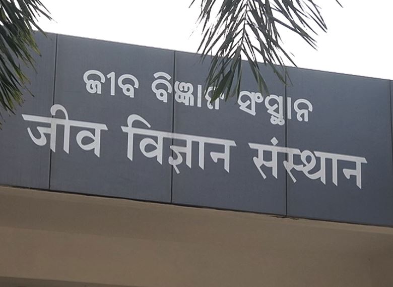 ଭୁବନେଶ୍ବରରେ ଥିବା ଇନଷ୍ଟିଚ୍ୟୁଟ୍ ଅଫ୍ ଲାଇଫ୍ ସାଇନ୍ସେଜରେ (ILS) କୋଭିଡର ନୂଆ ଷ୍ଟ୍ରେନର ପରୀକ୍ଷା ହେବ । ଏହି ପରୀକ୍ଷା ପାଇଁ କେମିତି ସାମ୍ପଲ୍ ସଂଗ୍ରହ ହେବ ସେ ନେଇ ବି ଗାଇଡଲାଇନ୍ ଜାରି କରିଛନ୍ତି ରାଜ୍ୟ ସରକାର । ଭୁବନେଶ୍ବରରେ ଥିବା ଇନଷ୍ଟିଚ୍ୟୁଟ୍ ଅଫ୍ ଲାଇଫ୍ ସାଇନ୍ସେଜରେ (ILS) କୋଭିଡର ନୂଆ ଷ୍ଟ୍ରେନର ପରୀକ୍ଷା ହେବ । ଏହି ପରୀକ୍ଷା ପାଇଁ କେମିତି ସାମ୍ପଲ୍ ସଂଗ୍ରହ ହେବ ସେ ନେଇ ବି ଗାଇଡଲାଇନ୍ ଜାରି କରିଛନ୍ତି ରାଜ୍ୟ ସରକାର ।