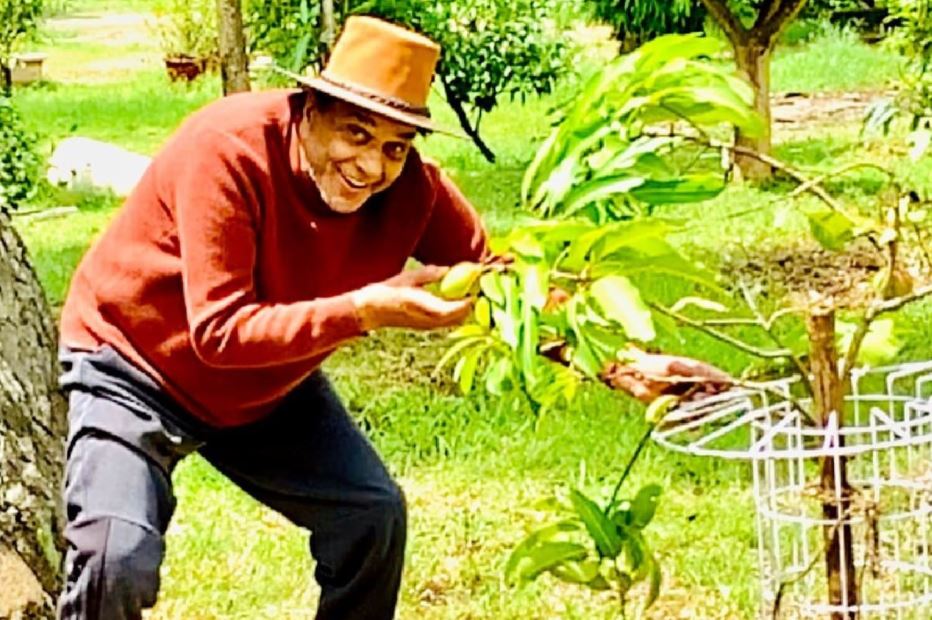  ବର୍ତ୍ତମାନ ଧର୍ମେନ୍ଦର ପଞ୍ଜାବରେ ଥିବା ନିଜ ଘରେ ରହି ଫାଂର୍ମିଙ୍ଗ କାମ କରୁଛନ୍ତି । ସେ ନିଜ ଇନଷ୍ଟାଗ୍ରାମ ଆକାଉଣ୍ଟରେ ପନିପରିବାର ଫଟୋ ସେୟାର କରନ୍ତି । ଯାହା ସେ ନିଜେ ଲଗାଇ ଥାନ୍ତି । (ଫଟୋ ସୌଜନ୍ୟ: Instagram @aapkadharam),[object Object]