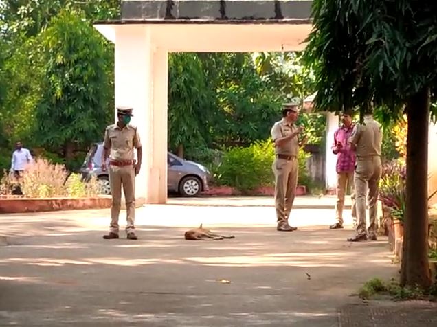  ଏହି ଲେଗିଂସ୍ ନାବାଳିକା ପରୀର କି ନୁହେଁ ତାହା ଆଗକୁ ପରୀକ୍ଷା କରାଯିବ ।