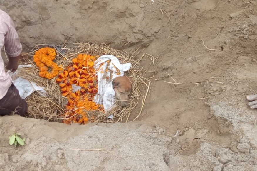  କୁହାଯାଏ ଯେ କେବଳ ମଣିଷ ନୁହଁନ୍ତି, ପଶୁ ପକ୍ଷୀମାନେ ମଧ୍ୟ ପ୍ରେମ ପାଇଁ ଭୋକିଲା । ନିଜ ପ୍ରିୟ କୁକୁରର ମୃତ୍ୟୁ ପରେ ହିମକର ମିଶ୍ର ତାକୁ ଯେମିତି ଶେଷ ବିଦାୟ ଦେଲେ, ତାହା ପ୍ରକୃତରେ ପ୍ରକୃତ ମାନବିକତାର ଏକ ଉଦାହରଣ ।