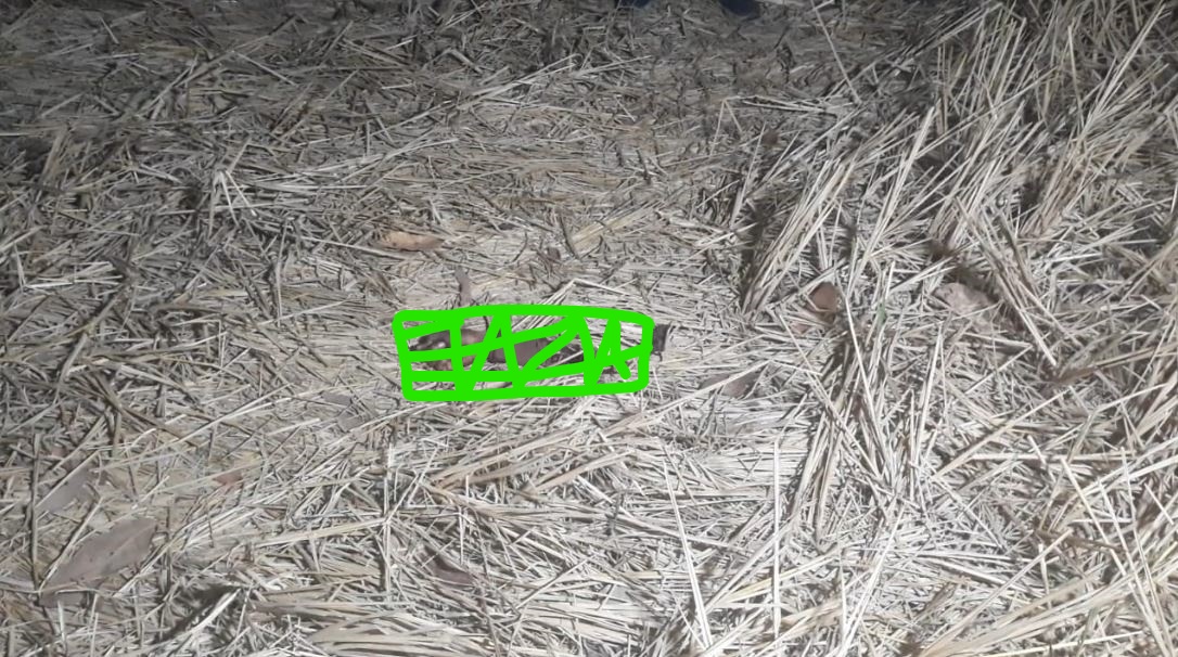  ରମେଶ ସିଂ ଜାନୁଆରୀ ୧୩ ଠାରୁ ନିଖୋଜ ଥିଲେ । ଜାନୁଆରୀ ୧୪ ସନ୍ଧ୍ୟାରେ ବିଲ ଭିତରୁ ମିଳିଥିଲା ତାଙ୍କ କଟା ହାତ । ଏକ କୁକୁର କଟା ହାତକୁ ଧରି ଟାଉନ ଥାନା ଅନ୍ତର୍ଗତ ହୋଟେଲ ଆମ୍ବିଆନ୍ସ ପଛ ପଟେ ବୁଲୁଥିବା ଦେଖି କିଛି ଲୋକ ପୋଲିସକୁ ଖବର ଦେଇଥିଲେ ।