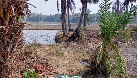 ବାଲେଶ୍ୱର: ପୋଖରୀ ହୁଡ଼ାରେ ବୃଦ୍ଧ ଦମ୍ପତିଙ୍କ ଶବ ମିଳିଲା; ପୁଅ ଓ ବୋହୂଙ୍କ ଉପରେ ହତ୍ୟା ସନ୍ଦେହ
