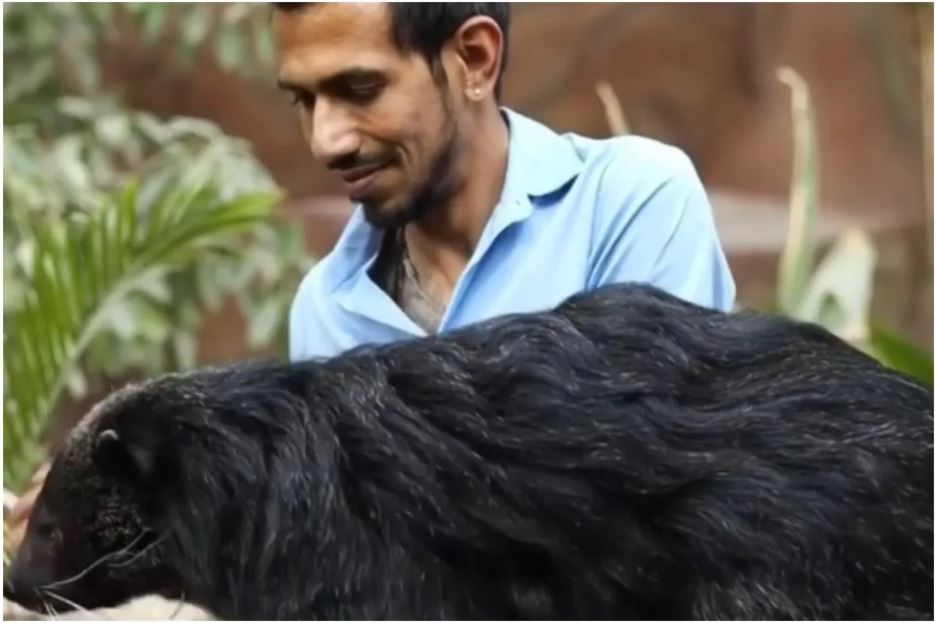  ଚଳିତ ବର୍ଷ ଅଗଷ୍ଟରେ ୟୁଜବେନ୍ଦ୍ର ଚହଲ ମଧ୍ୟ ନିଜ ନିର୍ବନ୍ଧ ସମାରୋହର ଫଟୋ ସେୟାର କରିଥିଲେ ଓ ତାଙ୍କର ଧନଶ୍ରୀ ଧର୍ମେନ୍ଦ୍ରଙ୍କ ସହ ସମ୍ପର୍କକୁ ନିଶ୍ଚିତ କରିଥିଲେ । (Yuzvendra Chahal/Instagram)