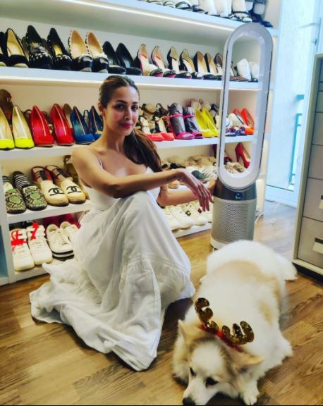  ମଲାଇକା ଘରେ ତିଆରି ହୋଇଥିବା ଖାଦ୍ୟ ଖାଇବାକୁ ଭଲ ପାଆନ୍ତି ।