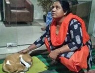 ଏ କୁକୁର କାହାର? ପୁରୀରେ ପୋଷା କୁକୁରକୁ ନେଇ ଘମାସାନ; ୭ ଘଣ୍ଟା ଟ୍ରାଫିକ ଜାମ୍ ହେଲା