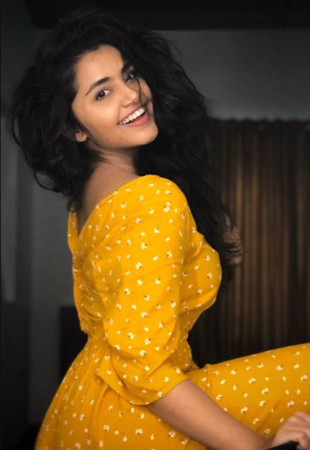  ଅନୁପମା ୨୦୧୫ରେ ‘ପ୍ରେମମ୍’ ନାମକ ଏକ ମଲାୟାଲମ୍ ଚଳଚ୍ଚିତ୍ରରେ ଡେବ୍ୟୁ କରିଥିଲେ ।