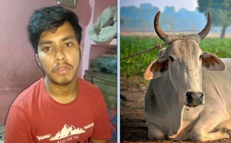 ଭୁବନେଶ୍ୱର ଯୁବକ ଅନ୍ଲାଇନ୍ରେ ଗାଈ ବିକୁଥିଲେ; ଲକ୍ଷେ ଟଙ୍କା ଲୁଟିନେଲେ ସାଇବର୍ ଅପରାଧୀ