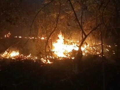 ଅନୁଗୁଳରେ ଜଙ୍ଗଲ ନିଆଁ ଗାଁ ମୁହାଁ ହେଲା; ବନ ବିଭାଗ ନିଆଁ ଲିଭାଇବାରେ ସମ୍ପୂର୍ଣ୍ଣ ବିଫଳ ହୋଇଛି