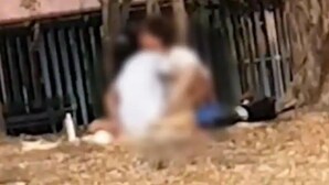 news18 - କି ନିର୍ଲଜ୍ଜ! ପାର୍କରେ ପିଲାଏ ଖେଳୁଥିବା ବେଳେ ତାଙ୍କ ସାମନାରେ ସେକ୍ସ କଲେ ଦମ୍ପତି!