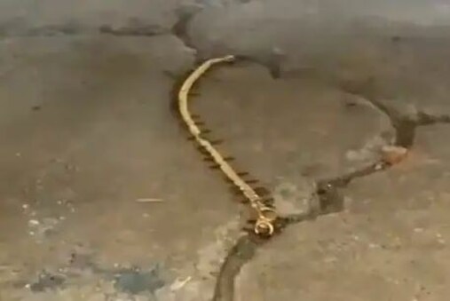 ଏହି ଭିଡିଓକୁ ଆଇପିଏସ୍ ଦୀପାଂଶୁ କାବ୍ରା ଟ୍ୱିଟ୍ କରିଛନ୍ତି 