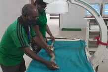 ମାନସିକ ପୂରଣ ପାଇଁ ନାଗ ସାପ ମୁହଁରେ ଅଠା ଦେଇ ପାଟି ସିଲ୍ କରି ଛାଡ଼ିଥିଲେ; ଚିକିତ୍ସା ପରେ ବଞ୍ଚିଲା