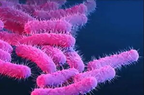 news18 - ଭାରତରେ ଦ୍ୱିତୀୟ ଲହର ପଛରେ କରୋନାର ଆଉ ଏକ ରୂପ! ବର୍ତ୍ତମାନ ଟ୍ରିପଲ୍ ମ୍ୟୁଟେସନ ମିଳିଲା