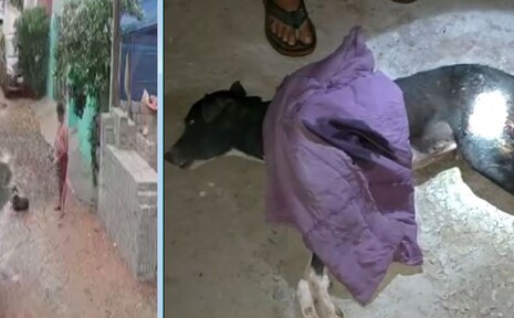 ଢେଙ୍କାନାଳ: ବୁଲା କୁକୁରକୁ ପିଟିବାରୁ ଅବସରପ୍ରାପ୍ତ ସେନା କର୍ମଚାରୀଙ୍କ ନାଁରେ FIR ହେଲା; ଘରୁ ପଳେଇଲେ