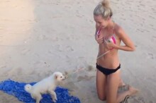 VIDEO: ଯୁବତୀଙ୍କୁ ଲୋକଙ୍କ ସାମନାରେ ନଗ୍ନ କରୁଛି ତାଙ୍କ ପୋଷା କୁକୁର! ଭିଡିଓ ଭାଇରାଲ୍‌