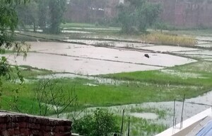 ଝାଡ଼ଖଣ୍ଡରେ ବନ୍ୟା: ଗଢ଼ବାରେ ବର୍ଷାର ତାଣ୍ଡବ; ୧୨ଟି ଘରେ ପଶିଲା ପାଣି