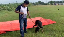 ବାଲେଶ୍ୱରରେ ବିଲଡର୍ ରମେଶ ବେହେରାଙ୍କ ହତ୍ୟା ପଛରେ ଥାଇ ପାରେ ଜମି ବିବାଦ ବା ଦାଦା ବଟି