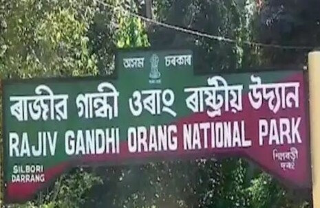 ବଦଳିବ ଆସାମର ରାଜୀବ ଗାନ୍ଧି ନ୍ୟାସନାଲ ପାର୍କ ନାଁ; ଏହି କାର୍ଯ୍ୟର ନିନ୍ଦା କଲେ କଂଗ୍ରେସ ନେତା