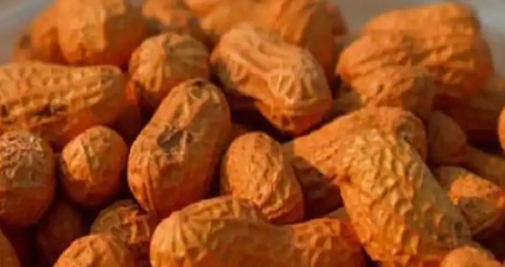  ବାଦାମ ଖାଉଥିବା ଏସୀୟ ଲୋକଙ୍କର ହୃଦଘାତ ହେବାର ଆଶଙ୍କା କମ୍ ଥାଏ । ଜାପାନର ଓସାକା ବିଶ୍ୱବିଦ୍ୟାଳୟର ଅନୁସନ୍ଧାନକାରୀମାନେ ସେମାନଙ୍କର ନିକଟରେ ହୋଇଥିବା ଅନୁସନ୍ଧାନରେ ଏହି ଦାବି କରିଛନ୍ତି। ଅନୁସନ୍ଧାନରୁ ଜଣାପଡ଼ିଛି ଯେ ଜାପାନରେ ରହୁଥିବା ଏସୀୟ ମହିଳା ଓ ପୁରୁଷମାନେ ଦୈନିକ ହାରାହାରି ୪ ରୁ ୫ଟି ବାଦାମ ଖାଉଥିଲେ, ସେମାନଙ୍କ ମଧ୍ୟରେ ଇସକେମିକ୍ ଷ୍ଟ୍ରୋକ୍ ଓ ହୃଦରୋଗ ହେବାର ଆଶଙ୍କା କମ୍ ରହିଥିଲା । ଷ୍ଟ୍ରୋକ୍ ପତ୍ରିକାରେ ପ୍ରକାଶିତ ଅନୁସନ୍ଧାନ ଅନୁଯାୟୀ, ବାଦାମ ଖାଉଥିବା ଲୋକଙ୍କ କ୍ଷେତ୍ରରେ ଏଭଳି ରୋଗର ସଂଖ୍ୟା ଉପରେ ନଜର ରଖାଯାଇଥିଲା । ଅନୁସନ୍ଧାନକାରୀ ସତେୟେ କେହାରା କହିଛନ୍ତି ଯେ ପ୍ରଥମ ଥର ପାଇଁ ଏସିଆ ଲୋକଙ୍କ ଠାରେ ଏହା ଦେଖା ଯାଇଛି ଯେ ଯେଉଁମାନେ ଅଧିକ ବାଦାମ ଖାଆନ୍ତି ସେମାନଙ୍କ ଠାରେ ଇସକେମିକ୍ ଷ୍ଟ୍ରୋକ୍ ହେବାର ଆଶଙ୍କା କମିଯାଏ। ଆମର ଅନୁସନ୍ଧାନରୁ ଜଣାପଡ଼ିଛି ଯେ ବାଦାମ ଖାଦ୍ୟରେ ଅନ୍ତର୍ଭୁକ୍ତ କରିବା ଲାଭଦାୟକ ହେବ।