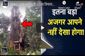 news18 - ଏନକୋଣ୍ଡା ଭଳି ବିଶାଳକାୟ ଅଜଗର ସାପ; ଉଠାଇବା ପାଇଁ ଡ଼କା ହେଲା ଜେସିବି; ଭିଡିଓ ଭାଇରାଲ