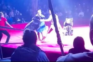 news18 - ସର୍କସରେ ଗର୍ଭବତୀ ମହିଳାଙ୍କୁ ଆକ୍ରମଣ କଲା ଭାଲୁ; ଭିଡ଼ିଓ ଦେଖିଲେ ରୁମ ଟାଙ୍କୁରି ଯିବ