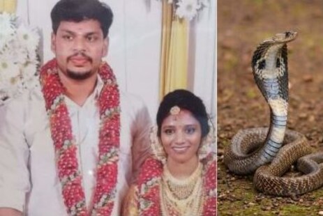 ଯୌତୁକ ପାଇଁ ପତ୍ନୀକୁ କୋବ୍ରା ସାପ କାମୁଡ଼ାଇ ମାରିଥିଲା: ମିଳିଲା ତାଙ୍କୁ ଦୁଇଗୁଣ ଆଜୀବନ କାରାଦଣ୍ଡ