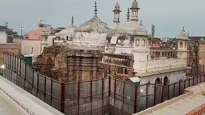  ସେ ଏକ ପ୍ରତ୍ନତାତ୍ତ୍ୱିକ ସର୍ବେକ୍ଷଣ ପାଇଁ ଦାବି କରିଥିଲେ। ଡିସେମ୍ବର ୨୦୧୯ ପରେ, ବାବ୍ରି ମସଜିଦ-ରାମ ଜନ୍ମଭୂମିଙ୍କ ସୁପ୍ରିମକୋର୍ଟଙ୍କ ନିଷ୍ପତ୍ତି ପରେ ଜ୍ଞାନବାପି ମସଜିଦ ପ୍ରସଙ୍ଗ ପୁଣି ଉଠିଥିଲା।