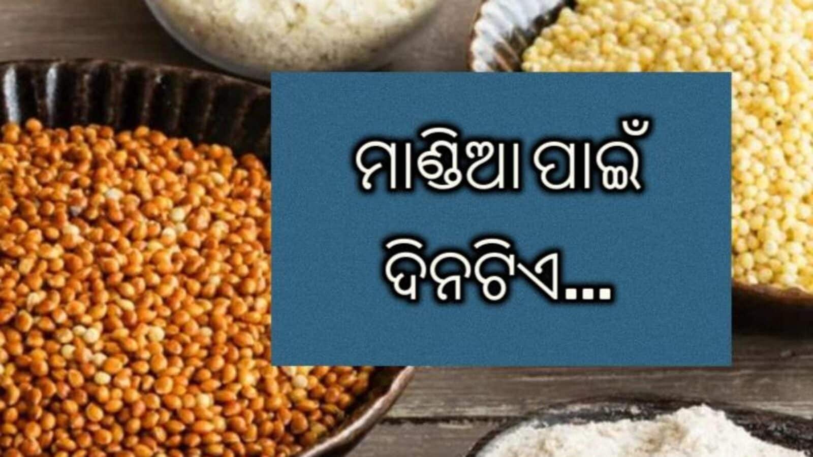 November 10 Celebrated as mandia Divas Millet Day ଆସନ୍ତା ପାଳିତ ହେବ