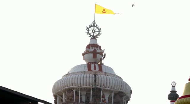  ଏକ ଚିଲ ‌ବହୁ ସମୟ ଧରି ବସି ରହିବା ଭକ୍ତଙ୍କ ମହଲରେ ଆଲୋଚନାର ବିଷୟ ପାଲଟିଛି।