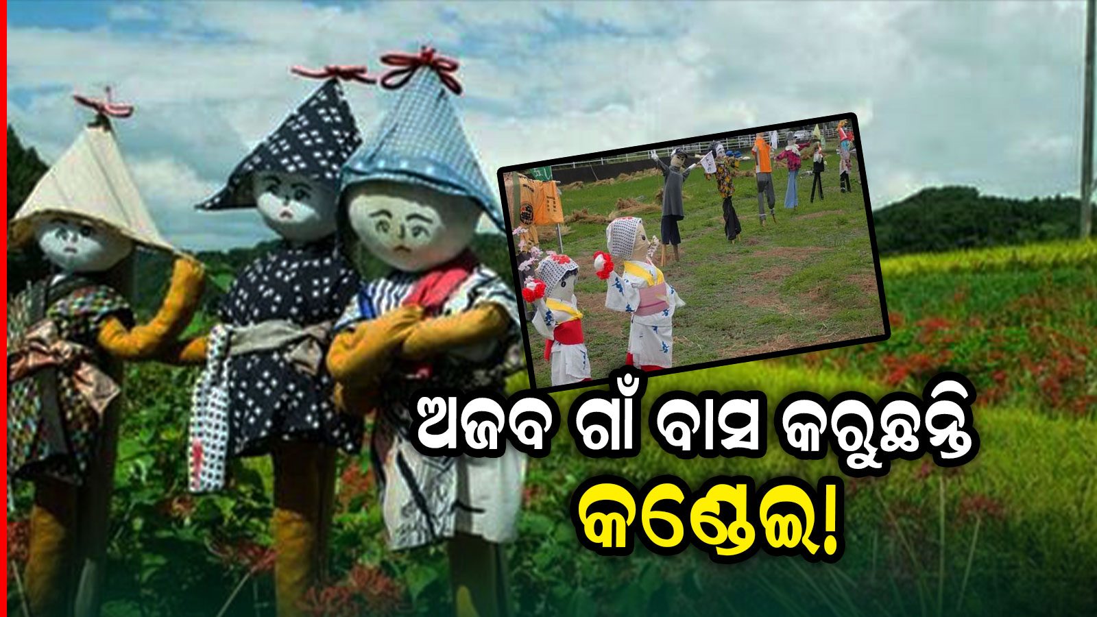 Weird Village ଦୁନିଆର ଅଜବ ଗାଁ... ଯେଉଁଠି ଲୋକଙ୍କଠୁ ଅଧିକ ବସବାସ କରନ୍ତି କଣ୍ଢେଇ mannequin village
