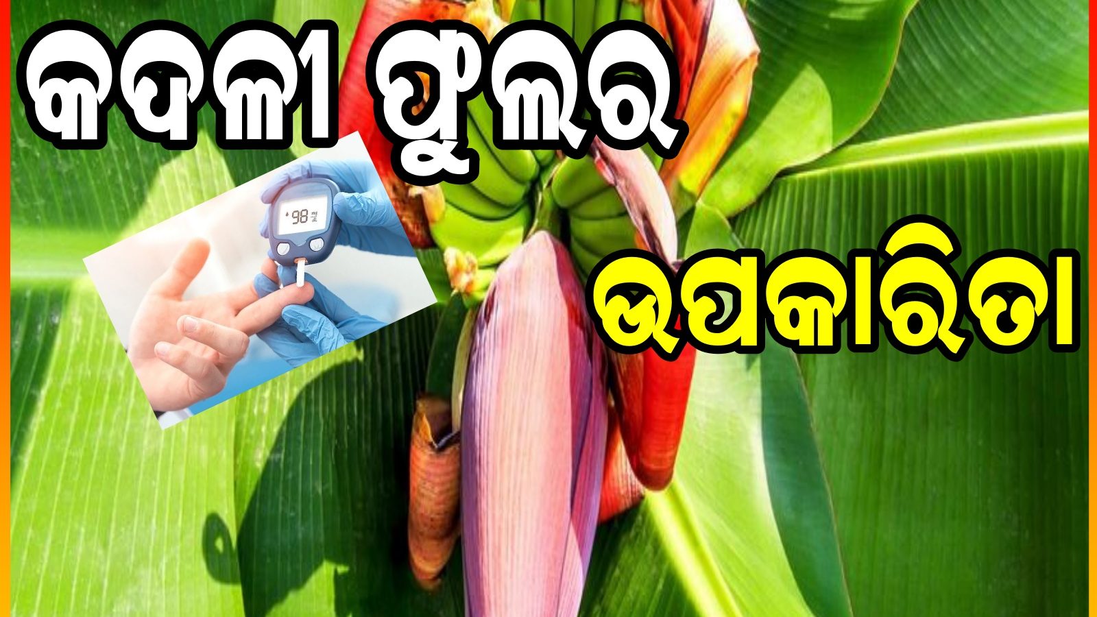 ମଧୁମେହ ରୋଗୀଙ୍କ ପାଇଁ ରାମବାଣ କଦଳୀ ଫୁଲ; ଖାଇବା ଦ୍ବାରା ରୋଗ ରହିବ ନିୟନ୍ତ୍ରଣ