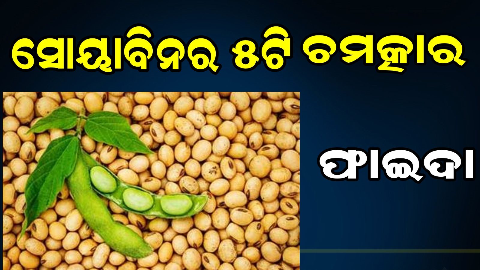 ନିଜ ଖାଦ୍ୟରେ ସାମିଲ କରନ୍ତୁ ସୋୟାବିନ; ଫାଇଦା ଦେଖି ହେବେ ଆଶ୍ଚର୍ଯ୍ୟ Soybean benefits for health know