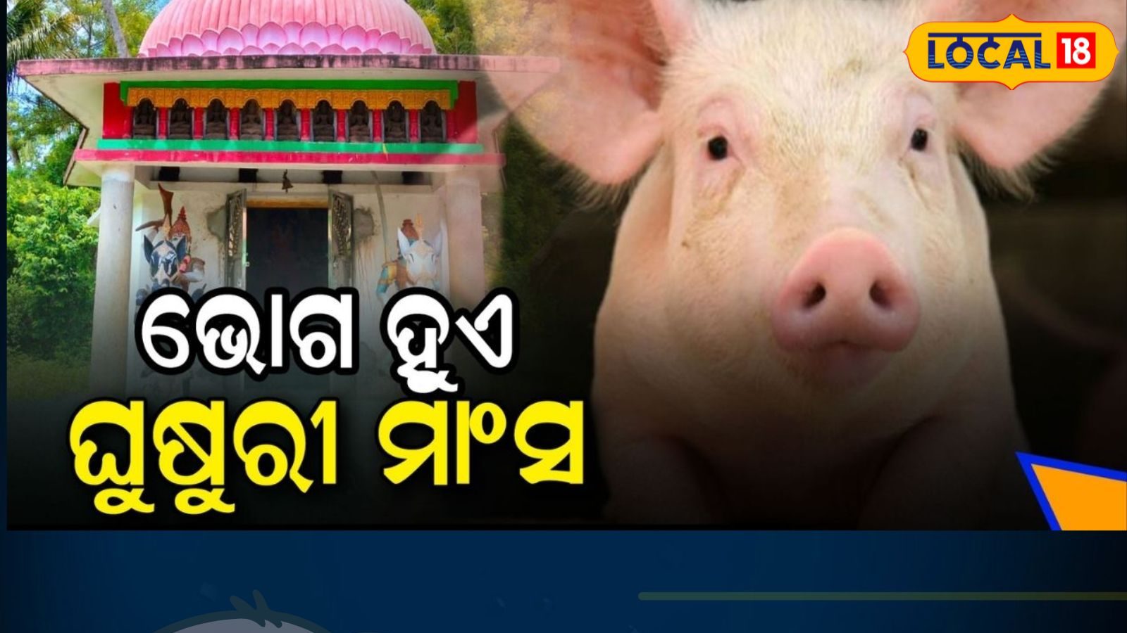 ମନ୍ଦିରରେ ଭୋଗ ହେଉଛି ଘୁଷୁରୀ ମାଂସ Pork belly is given as prasad in this